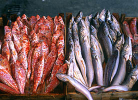 La pêche