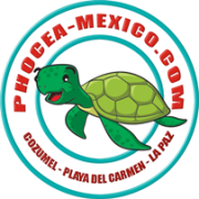 PHOCEA MEXICO