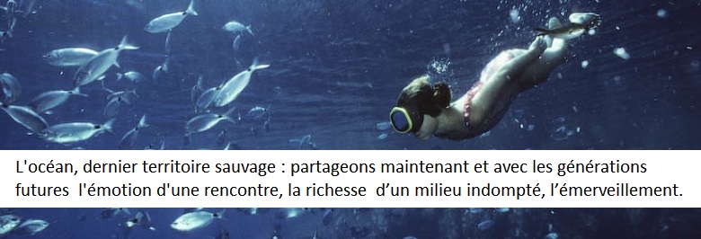 L'océan, dernier territoire sauvage : partageons maintenant et avec les générations futures l'émotion d'une rencontre, la richesse d'un milieu indompté, l'émerveillement.