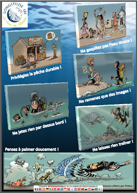 poster tit luc